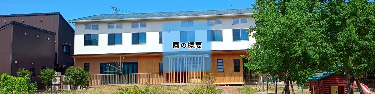 園の概要